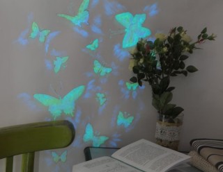 Декор стены «живыми» бабочками