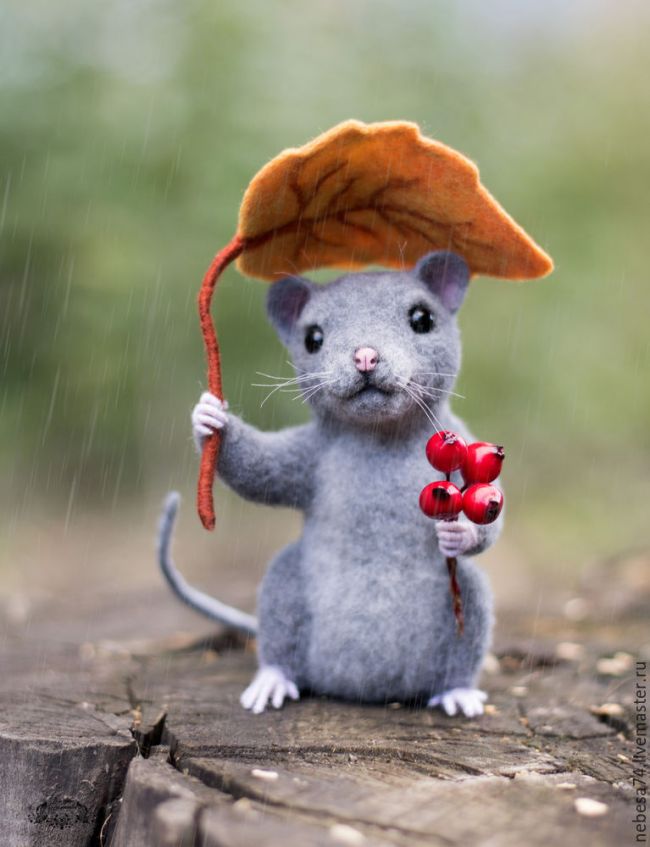Мышонок под дождем